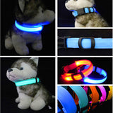 Safety Glowing Pet Collar With LED By Project Pet Lovers Club