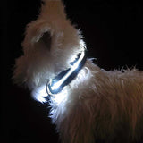 Safety Glowing Pet Collar With LED By Project Pet Lovers Club