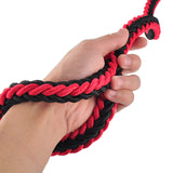 Big Dog Plaited Leash And Collar Set